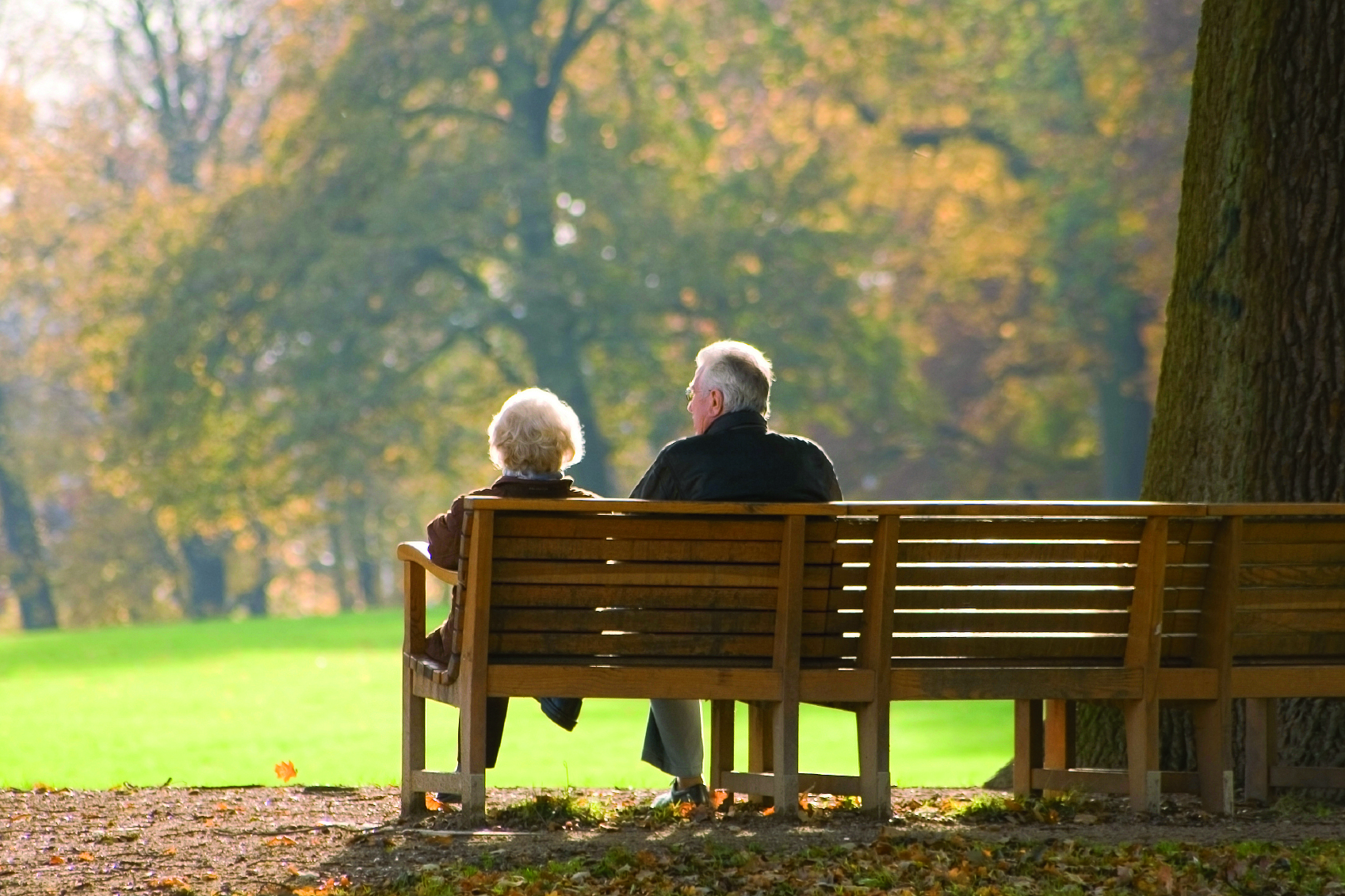 elderly couple sat on a bench in the park