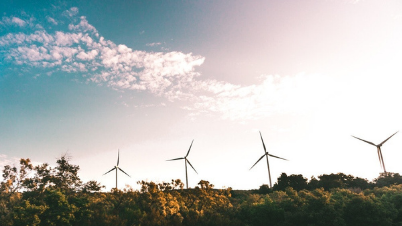Confusion Over How Green Energy Is Supplied - Vimarsana News