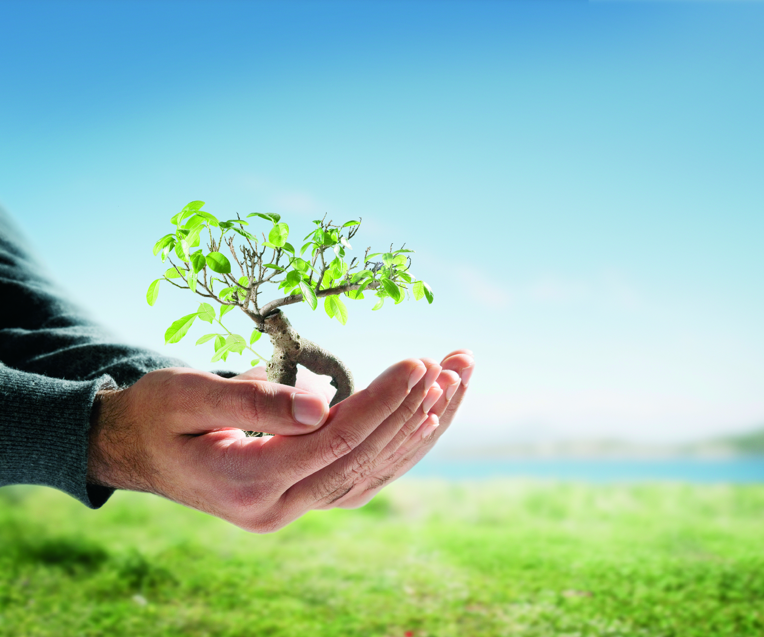 The best savings rates - avoid restrictions and low rates - Vimarsana News