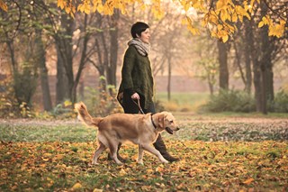 a women walking a dog