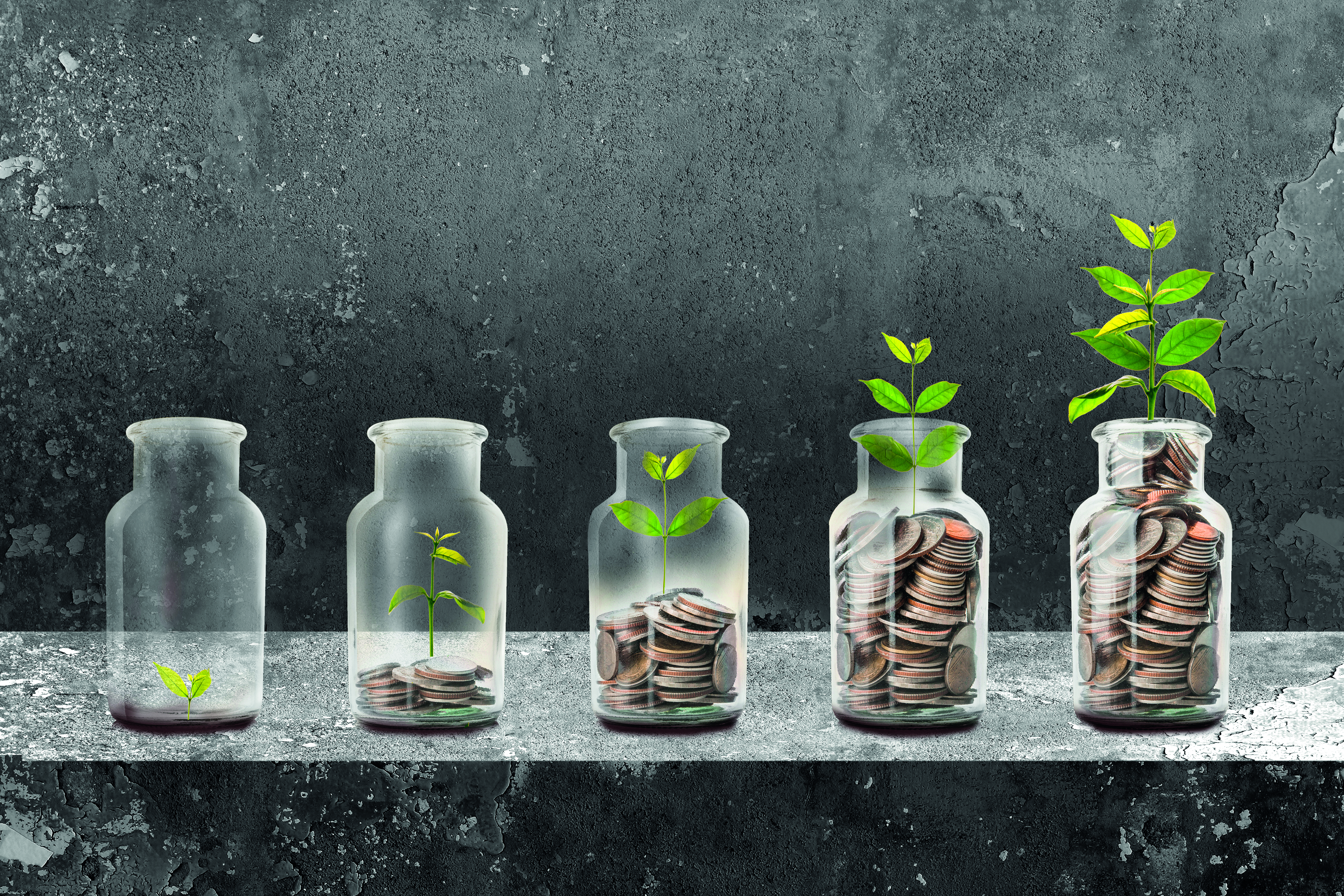 The Best Savings Rates This Week 08.01.21 - Vimarsana News
