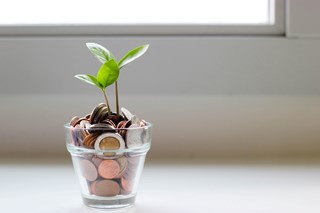 savings coins in a jar with plant growing