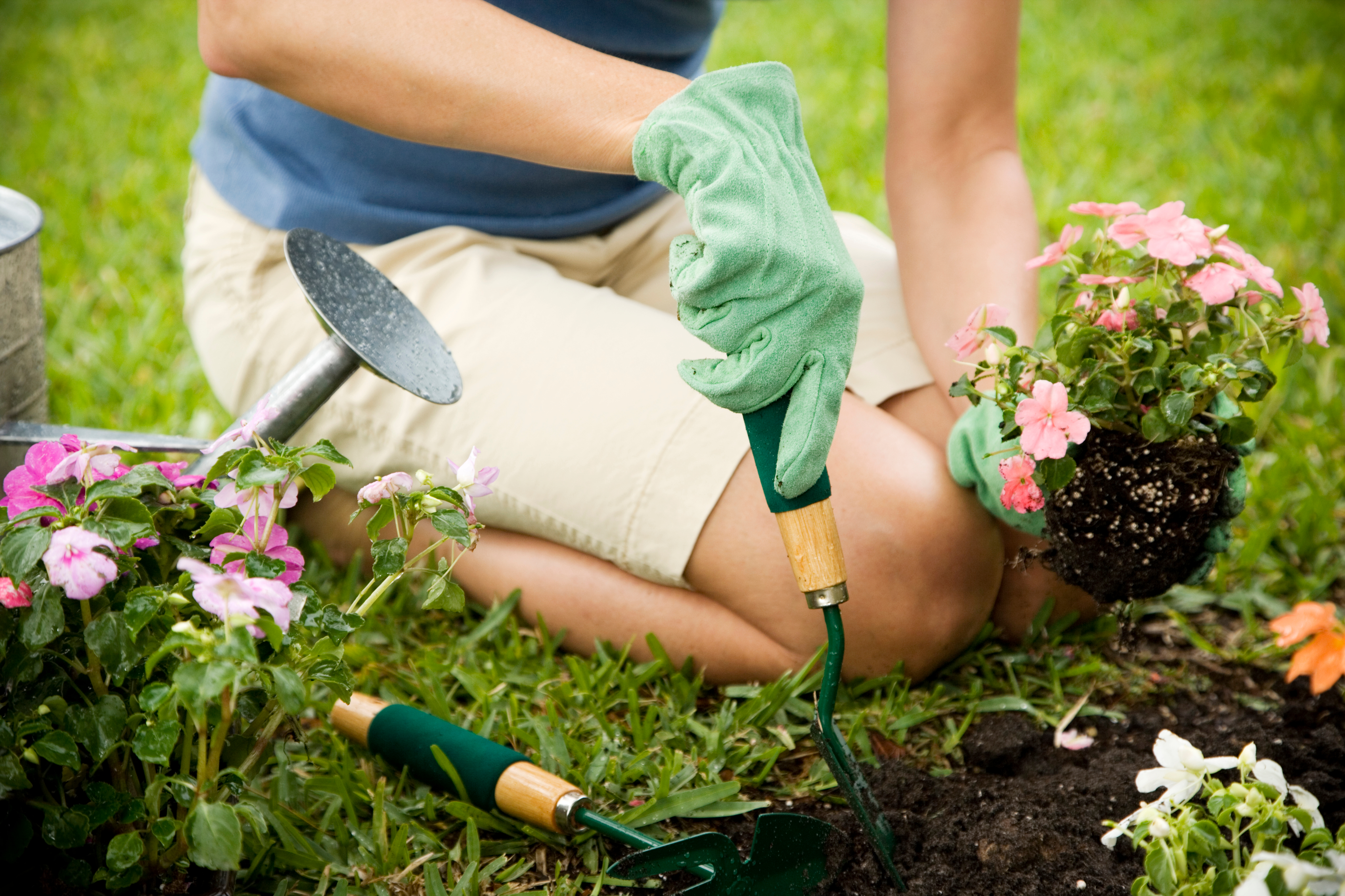 What would the average garden makeover cost you? - Vimarsana News