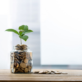Plant emerging from jar of coins | Grow your savings | Moneyfacts